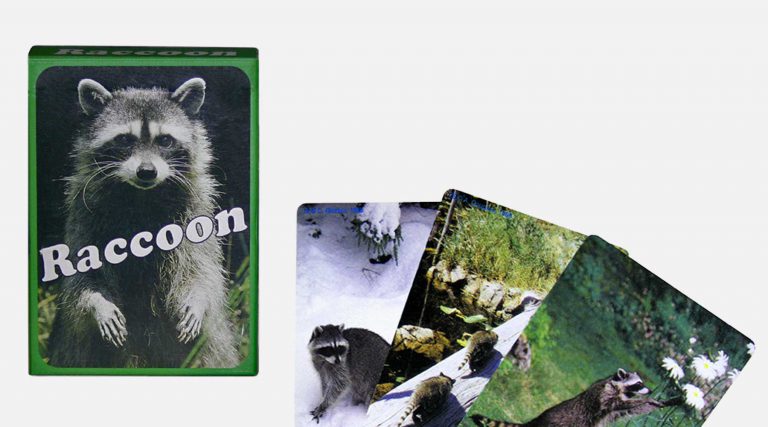 Card Deck Raccoon